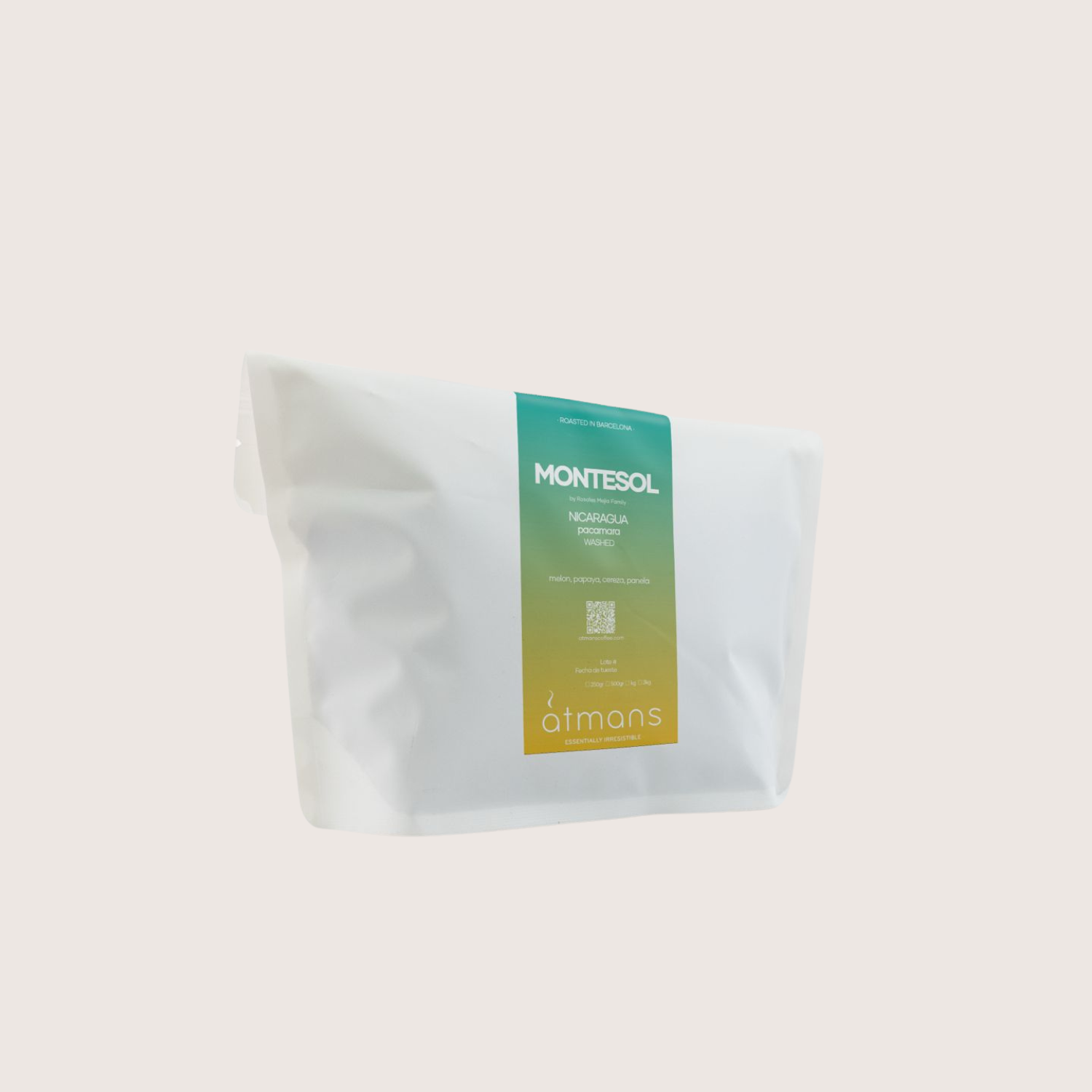 NICARAGUA - MONTESOL